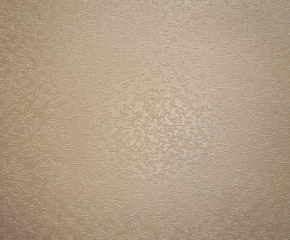 Фото BN International Champagne 50103