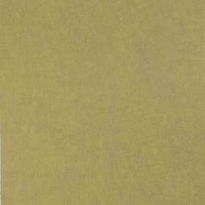 Фото BN International 50 shades of colour 46012