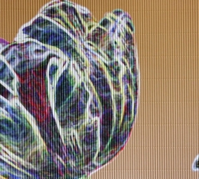 Фото Marburg Ulf Moritz Charisma 78786