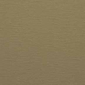 Фото BN International Diva 43735