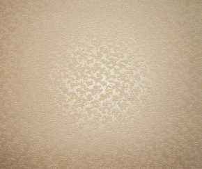 Фото BN International Champagne 50101