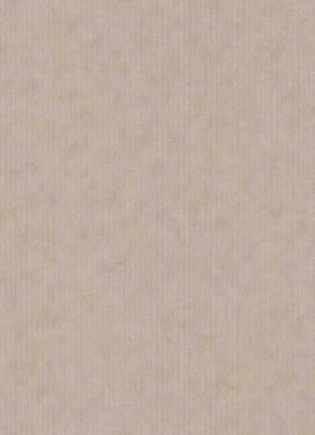 Фото Erismann BasiXs 6488-25