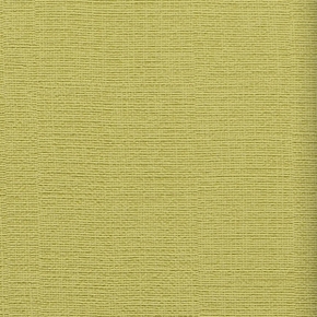 Фото BN International Glamour 43003