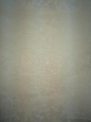 Фото A.S.Creation Alterdom 30671-3