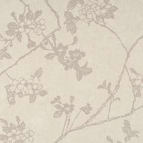 Фото BN International Chacran 46042