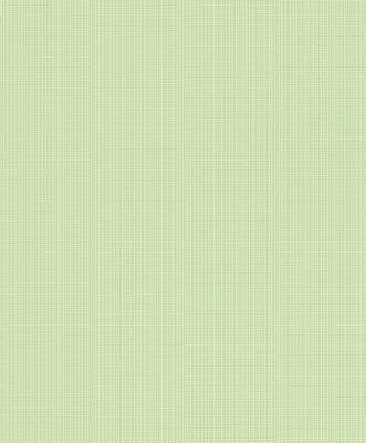 Фото Rasch Fresh Up 2015 491869