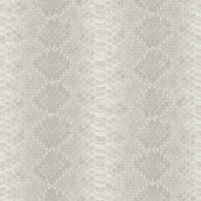 Фото Rasch African Queen 2 473827