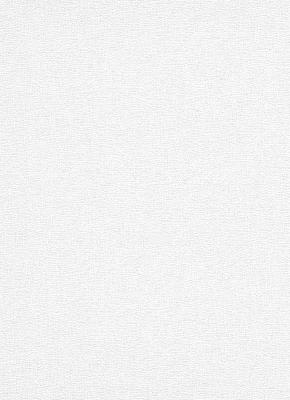 Фото Erismann Robusto Vol.2 3914-01