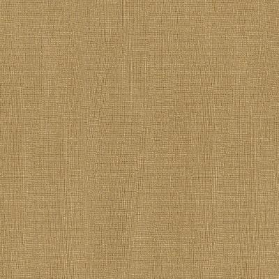 Фото Rasch Intuicion 2011 733204