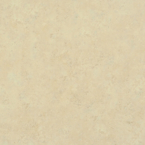 Фото BN International Eye 47224