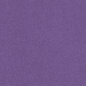 Фото BN International Bont 46891