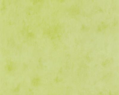 Фото A.S.Creation Boys and Girls 5 6888-66