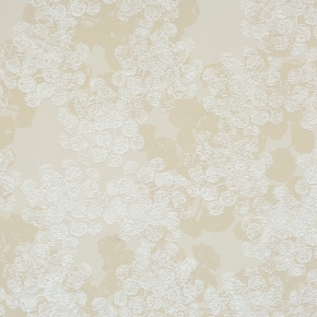 Фото BN International Motion 46631