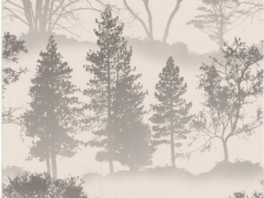 Фото Graham & Brown Elixir 50-207