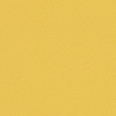 Фото Rasch Kids' Club 2014 469028