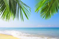 Спокойное море