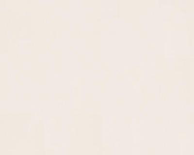 Фото A.S.Creation AP 2000 8863-16