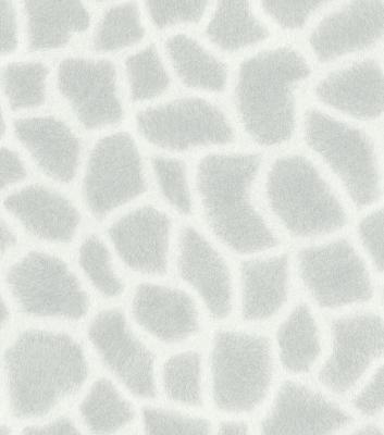 Rasch African Queen 2014 422825