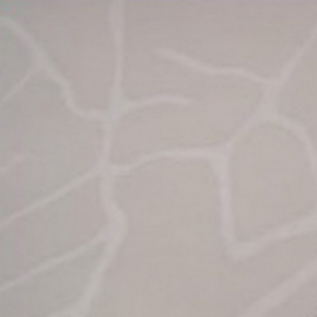 Фото BN International Diva 43701