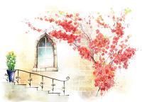 Лестница перед окошком