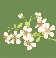 Рисунок ветки