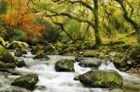 Горный ручей