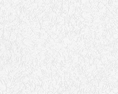 Фото A.S.Creation Maistervlies 2020 92951-8