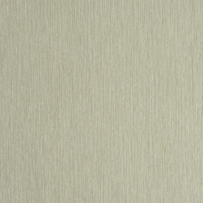 Фото BN International Organza 45215