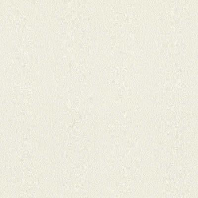 Фото Rasch Globe 945614