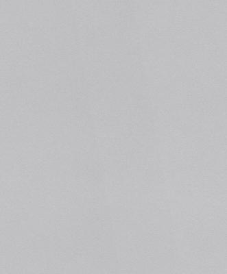 Фото Rasch Modern Surfaces 2 604023