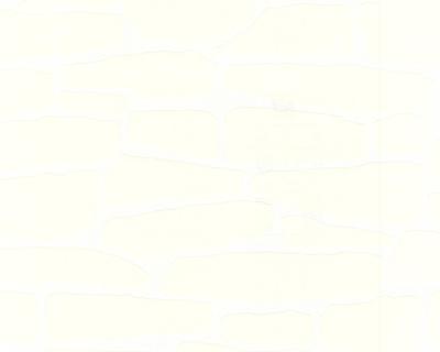 Фото A.S.Creation White & Colours 139528