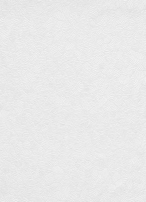 Erismann RollOver Deco 4062-01