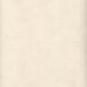 Фото Sandudd Hopealehti 2876-1