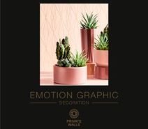 Emotion Graphic 2021