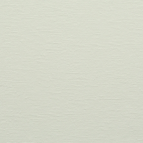 Фото BN International Diva 43737