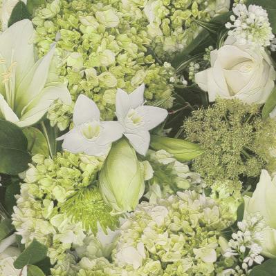 Фото Rasch Tiles & More 2016 885507