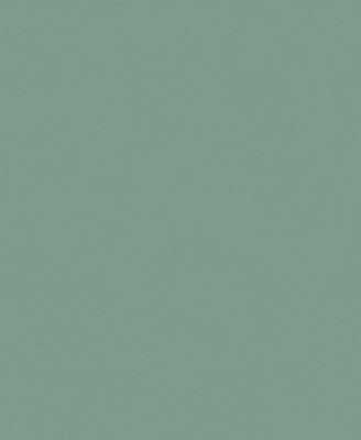 Фото Erismann Colour Stories 6342-36