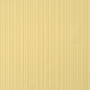 Фото BN International Eye 47174