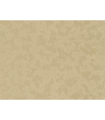 Фото Rasch Dovizia 2015 575545