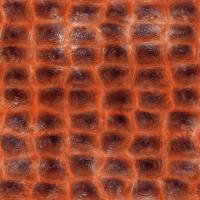 Кожа крокодила