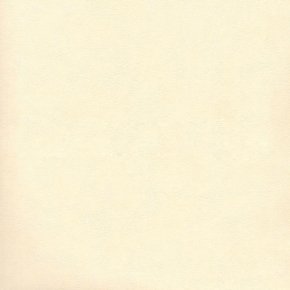 Фото Sandudd Hopealehti 2876-3