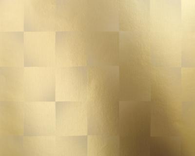 Фото A.S.Creation Chroma 176912