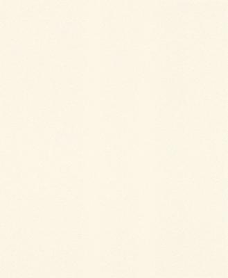 Фото Rasch Modern Surfaces 2 607727