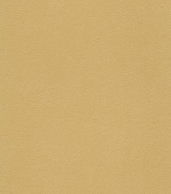 Фото Rasch Black Forest 2016 514049