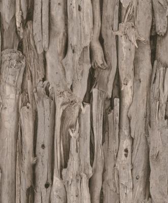 Фото Rasch African Queen 2 473223