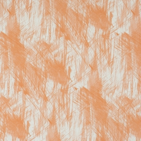 Фото BN International Mart Visser 48191