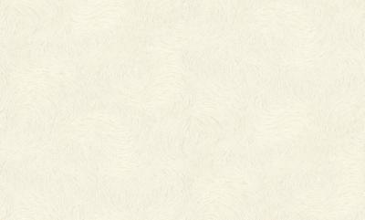 Фото Rasch Jolly 970135