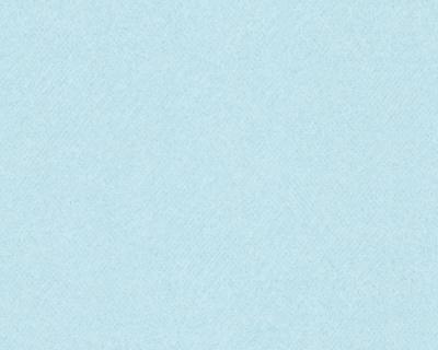 Фото A.S.Creation MV meets XXL 715111