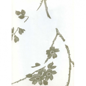 Фото Sandudd Rolleri 5 4862-6