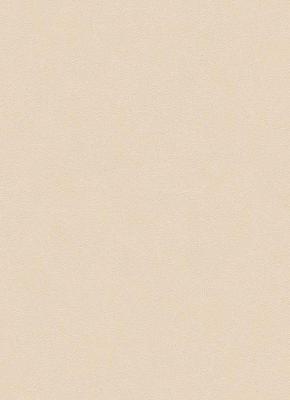 Фото Erismann City Glam 5958-25